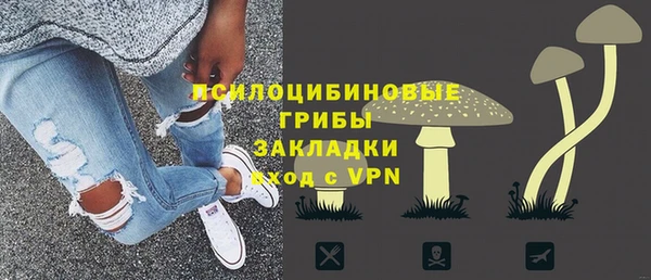 молекула духа Алексеевка