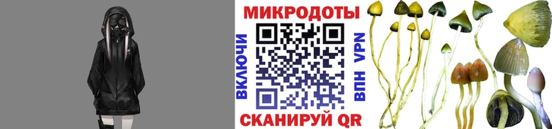 Псилоцибиновые грибы GOLDEN TEACHER  что такое наркотик  Карасук 